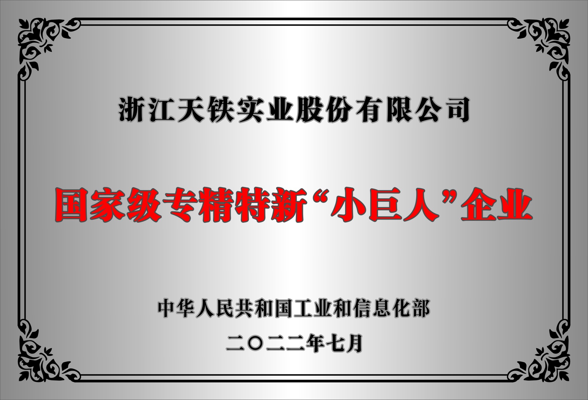 国家级专精特新“小巨人”企业